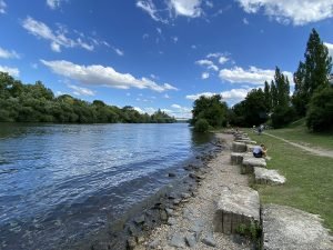 Fechenheim Transfers