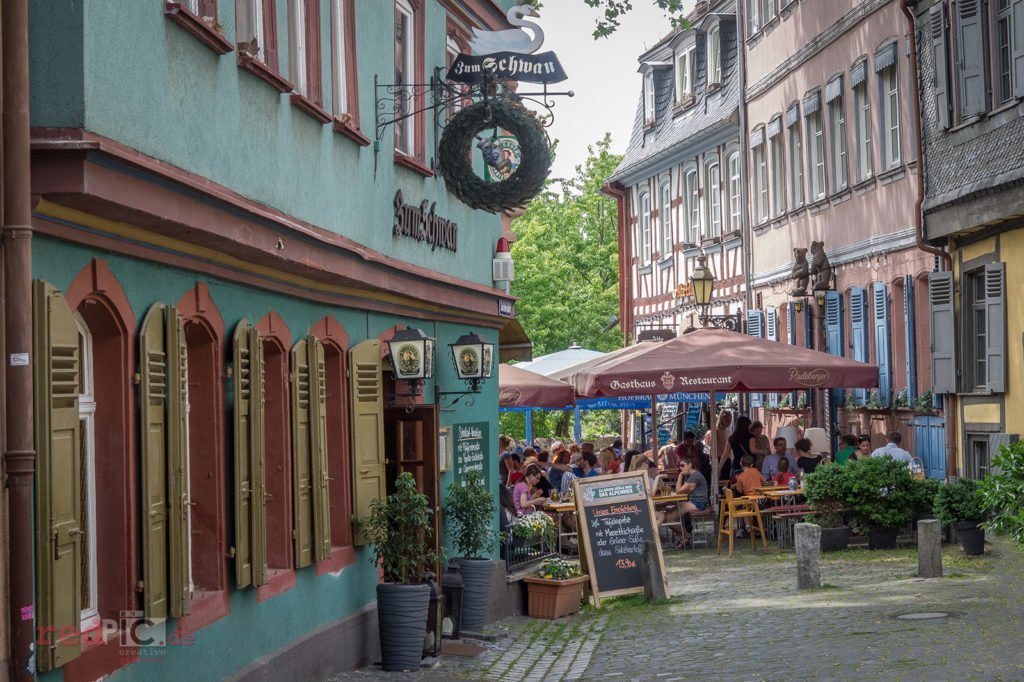 Höchst Transfers